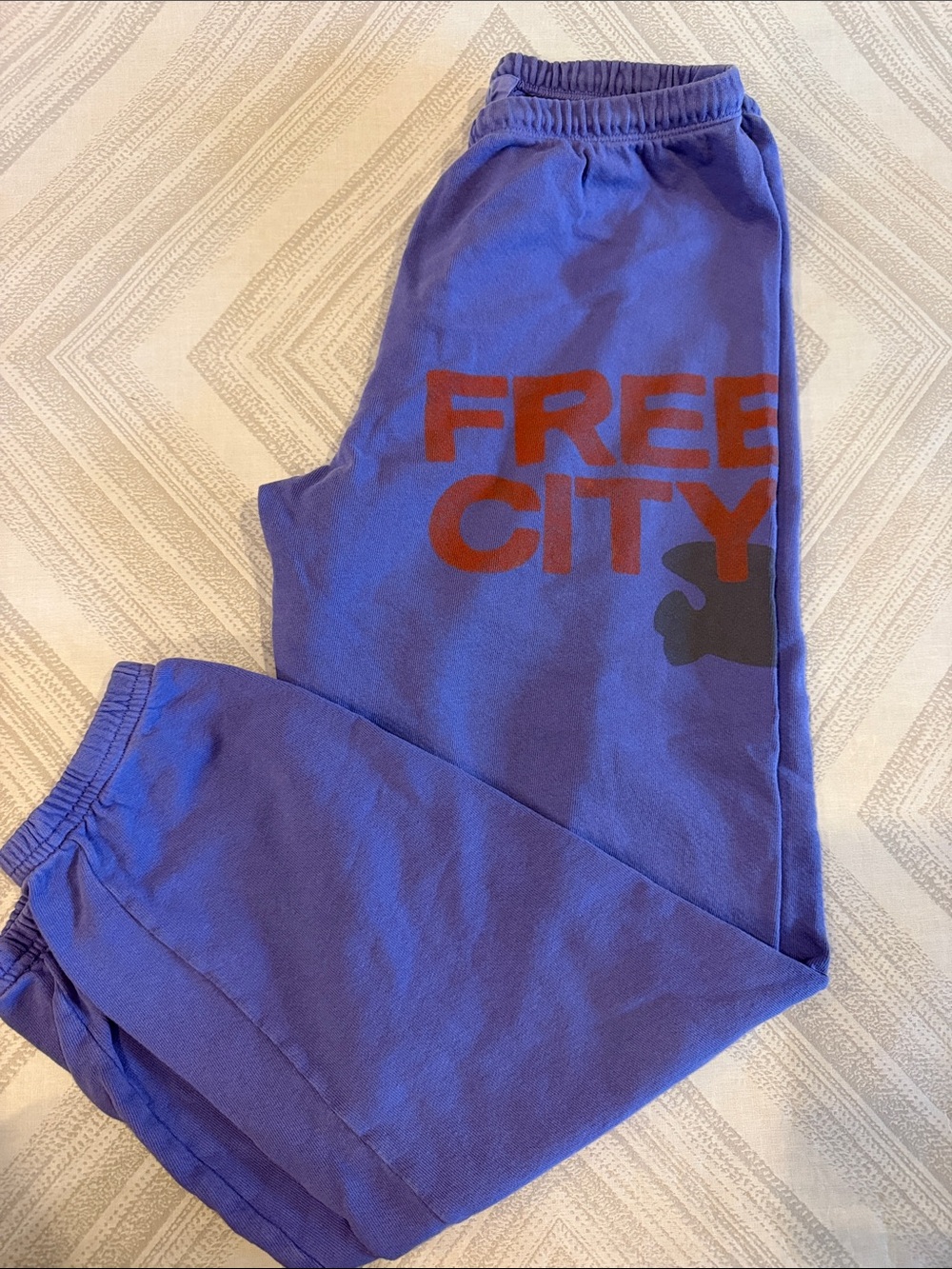 FreeCity Women’s Small Purple Jogger Sweatpants Red Gray Logo